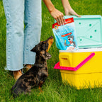 Home Essentials Brutus Brothcicles for daily home and personal routines with pet care treats and accessories
