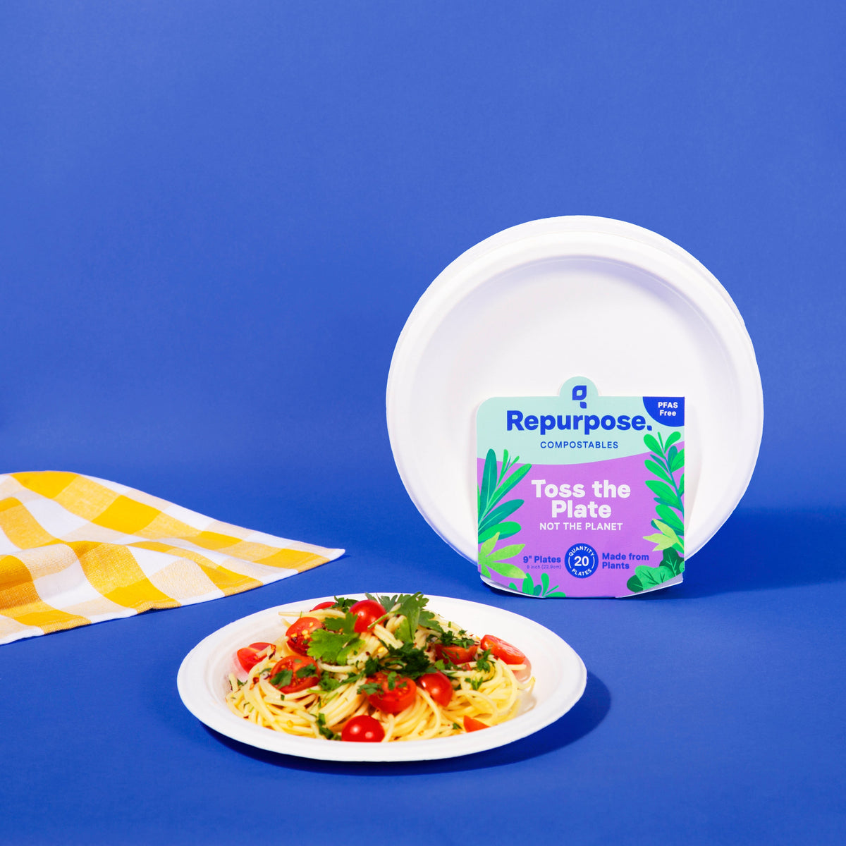 Practical Living Compostable Everyday Plates for daily home and personal routines with general everyday essentials