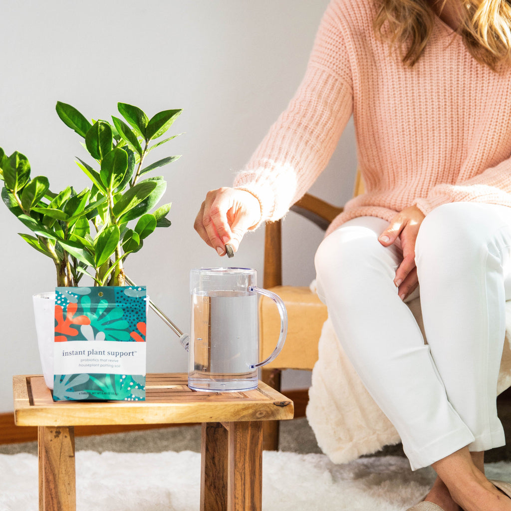 Routine Ready Instant Plant Support for daily home and personal routines with garden plant and outdoor supplies