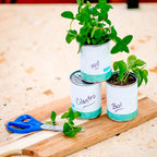 Home Essentials Kitchen Herb Garden for daily home and personal routines with garden plant and outdoor supplies