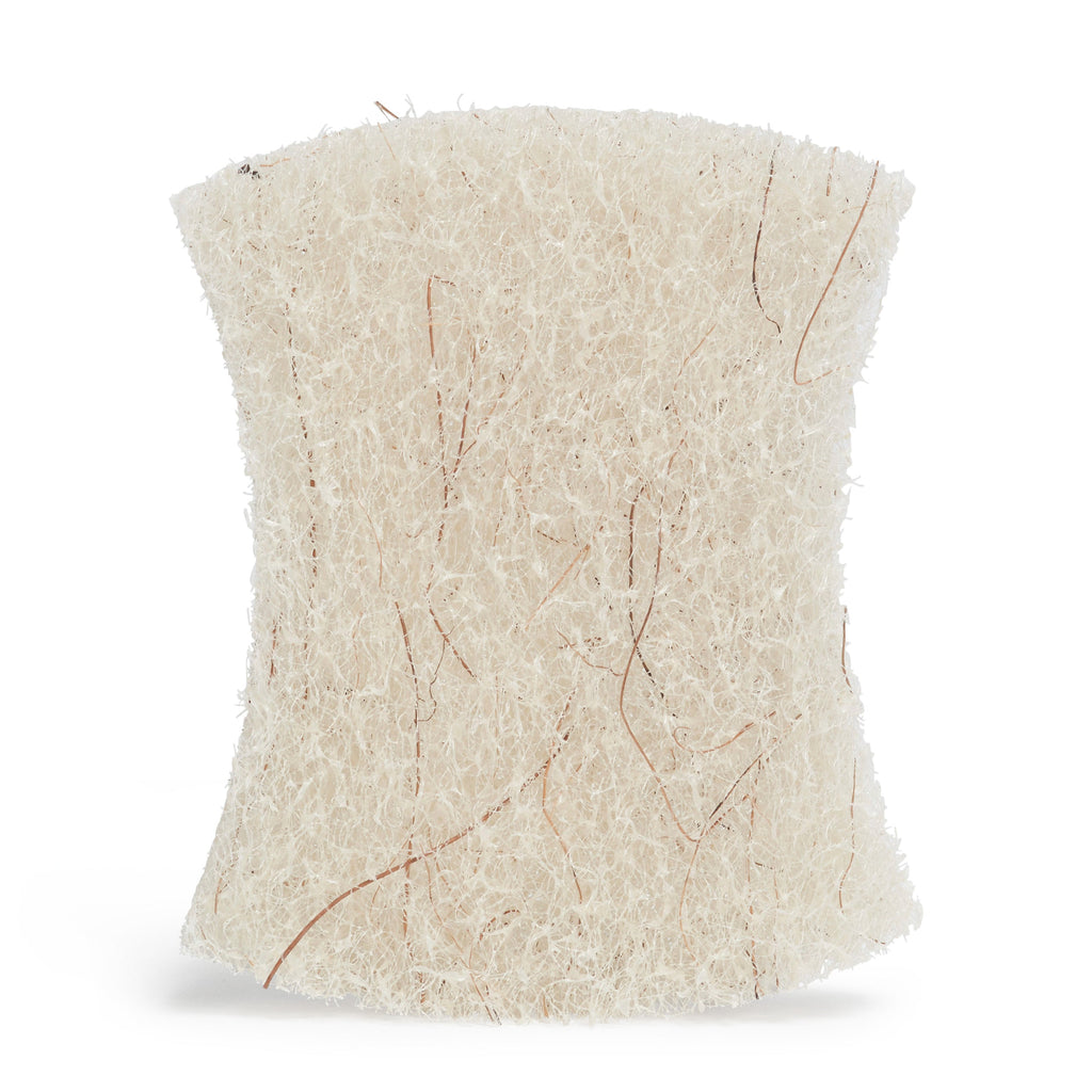Daily Care All-Purpose Coconut Scouring Pads for daily home and personal routines with general everyday essentials
