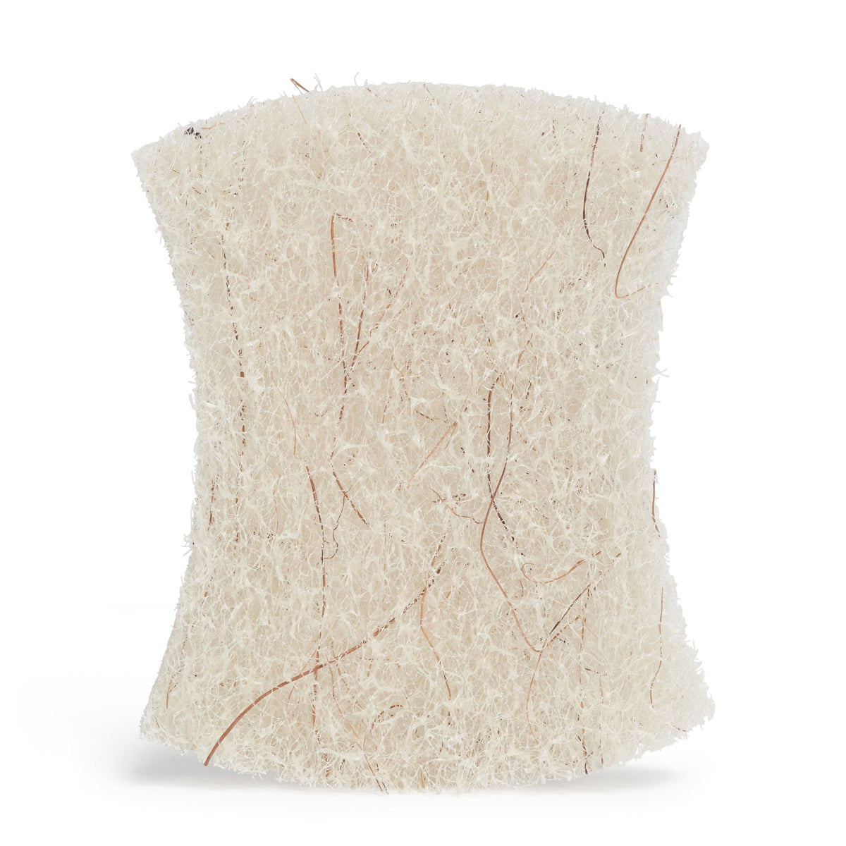 Daily Care All-Purpose Coconut Scouring Pads for daily home and personal routines with general everyday essentials