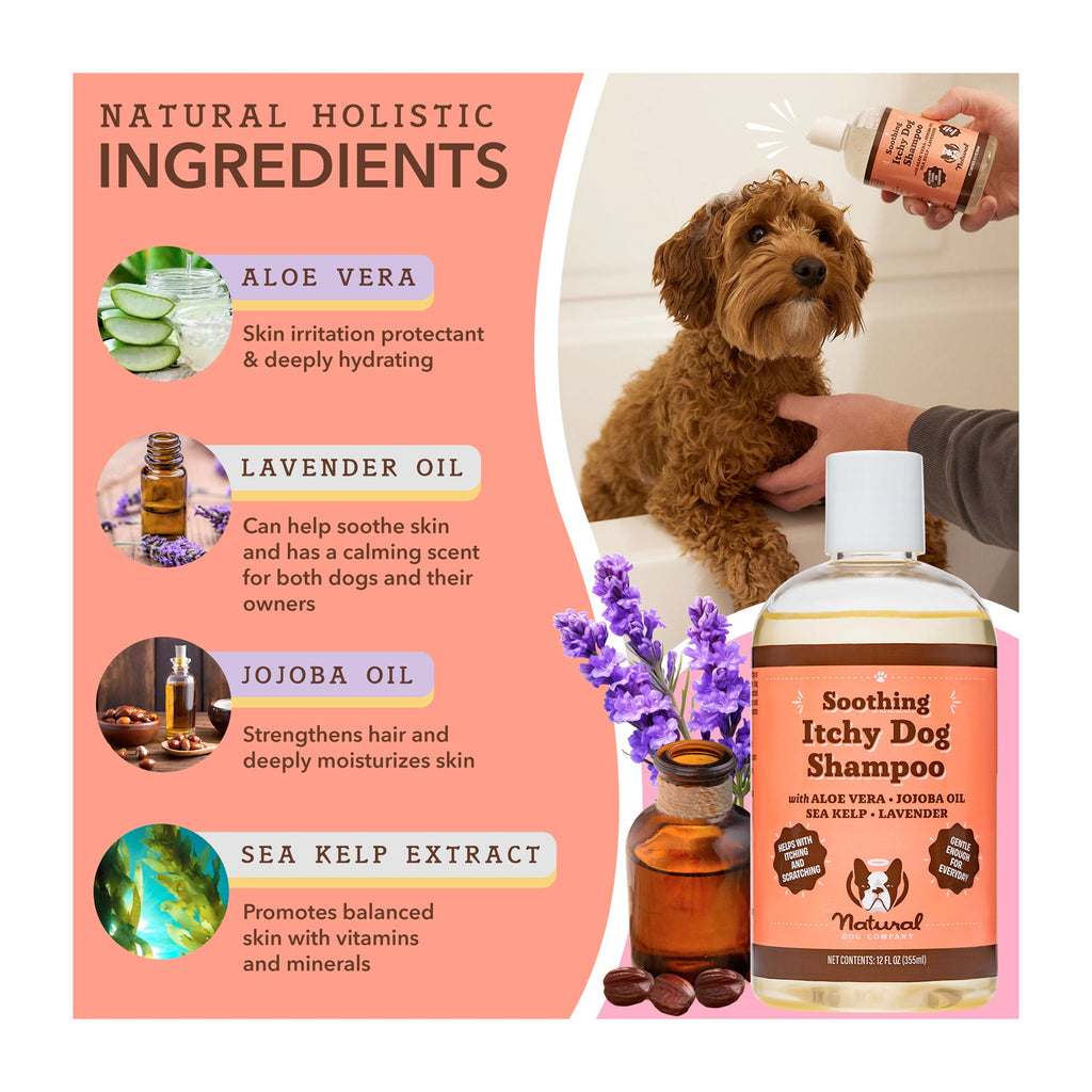 Daily Care Itchy Dog Shampoo for daily home and personal routines with hair care