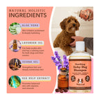 Daily Care Itchy Dog Shampoo for daily home and personal routines with hair care