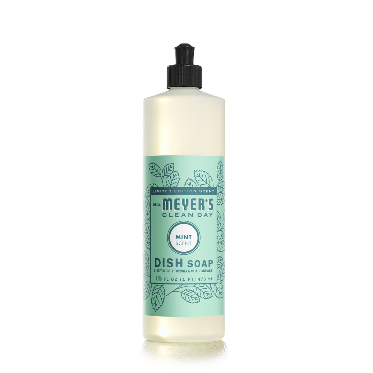 Daily Care Dish Soap for daily home and personal routines with cleaning laundry and paper products
