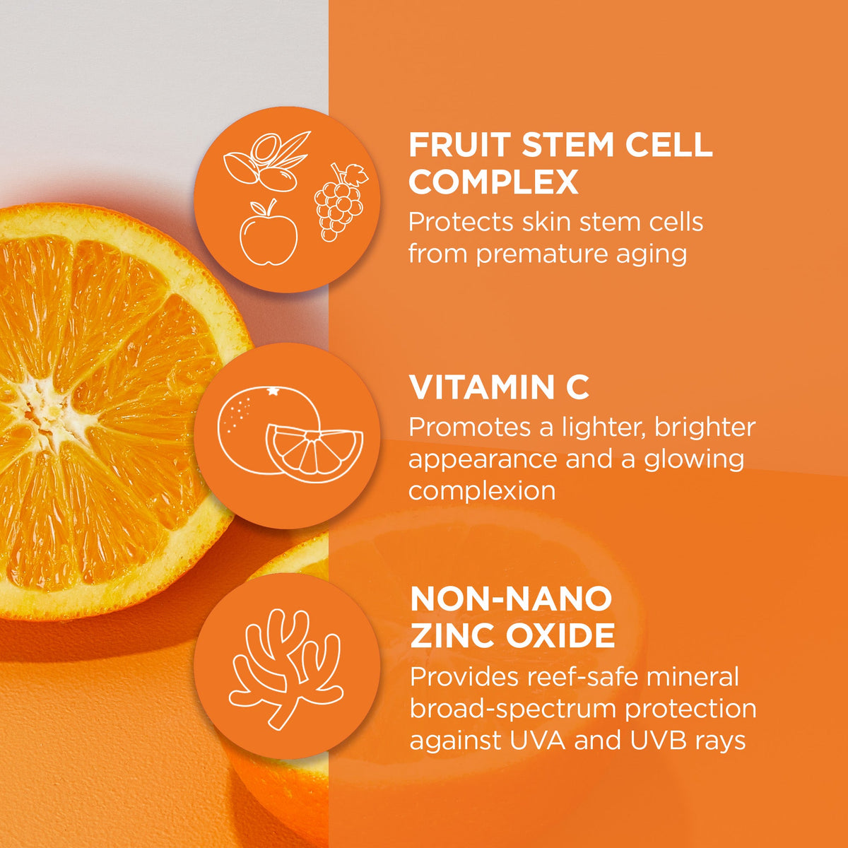 Home Essentials Brightening Vitamin C BB Beauty Balm Sheer Tint SPF 30 for daily home and personal routines with facial skin and sun care