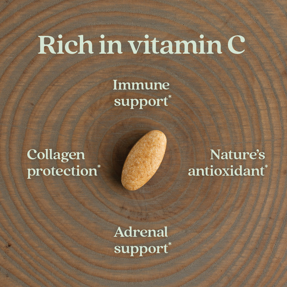 Practical Living Fermented Vitamin C Supplement for daily home and personal routines with general everyday essentials