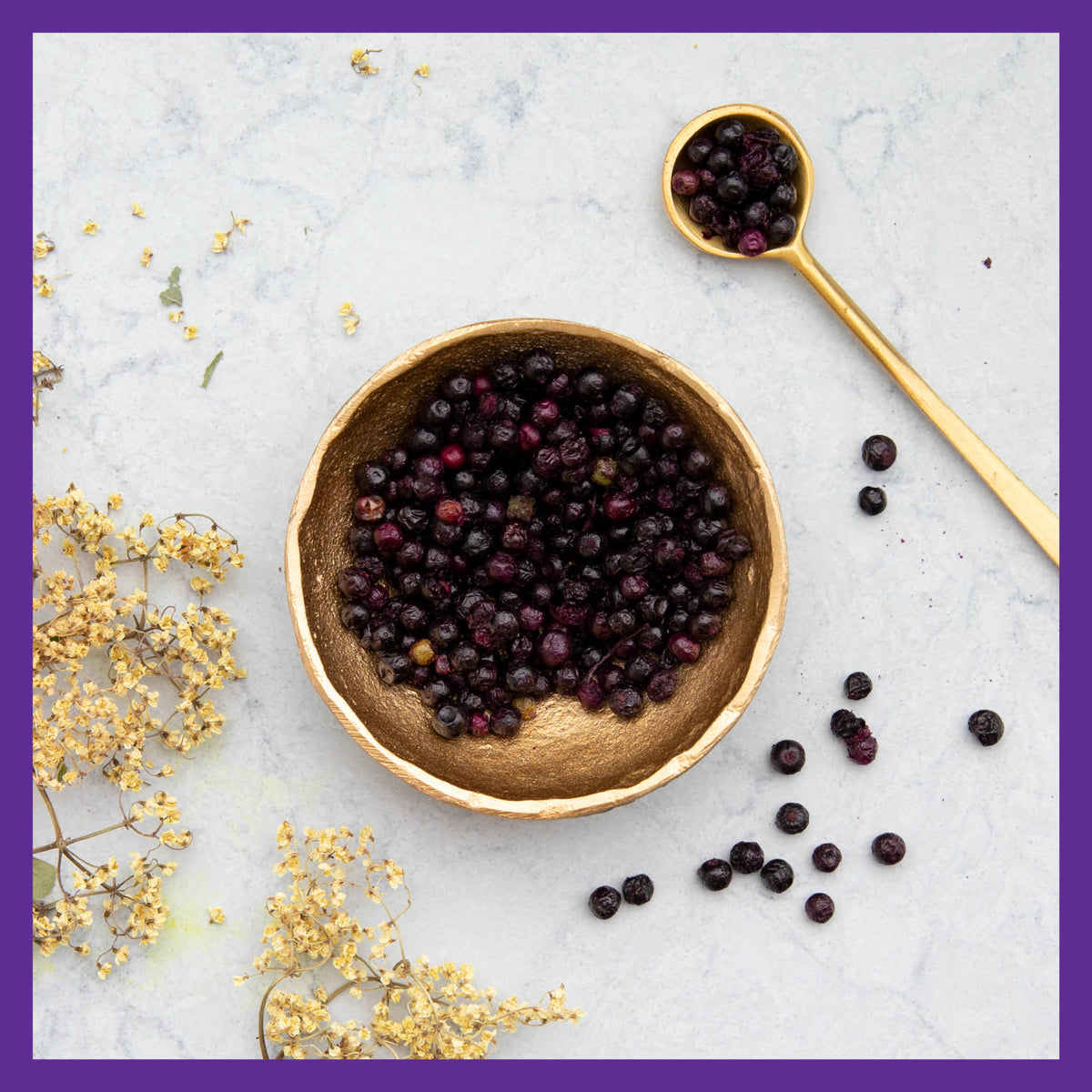 Daily Care Elderberry Gummies, Organic Whole-Food Gummies for Immune Support for daily home and personal routines with pantry foods and beverages