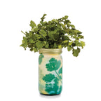 Routine Ready Garden Jar for daily home and personal routines with garden plant and outdoor supplies