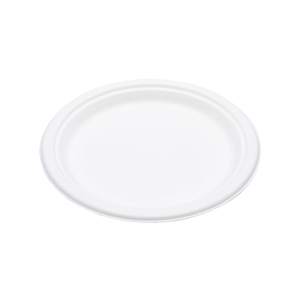 Practical Living Compostable Everyday Plates for daily home and personal routines with general everyday essentials