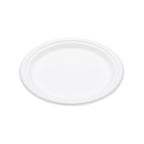 Practical Living Compostable Everyday Plates for daily home and personal routines with general everyday essentials