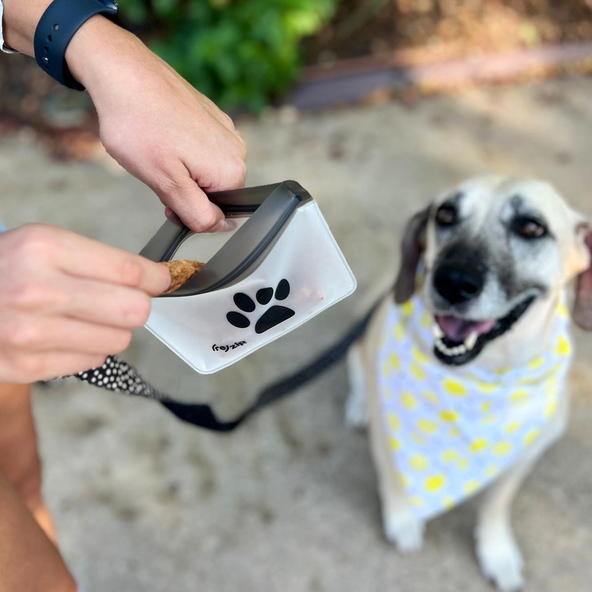 Daily Care Airtight Pet Treat Bag + Carabiner for daily home and personal routines with pet care treats and accessories
