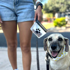 Daily Care Airtight Pet Treat Bag + Carabiner for daily home and personal routines with pet care treats and accessories