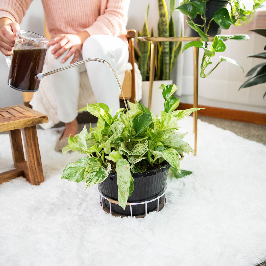 Routine Ready Instant Plant Support for daily home and personal routines with garden plant and outdoor supplies
