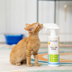 Practical Living All-Surface Pet Stain and Odor Eliminator for daily home and personal routines with facial skin and sun care