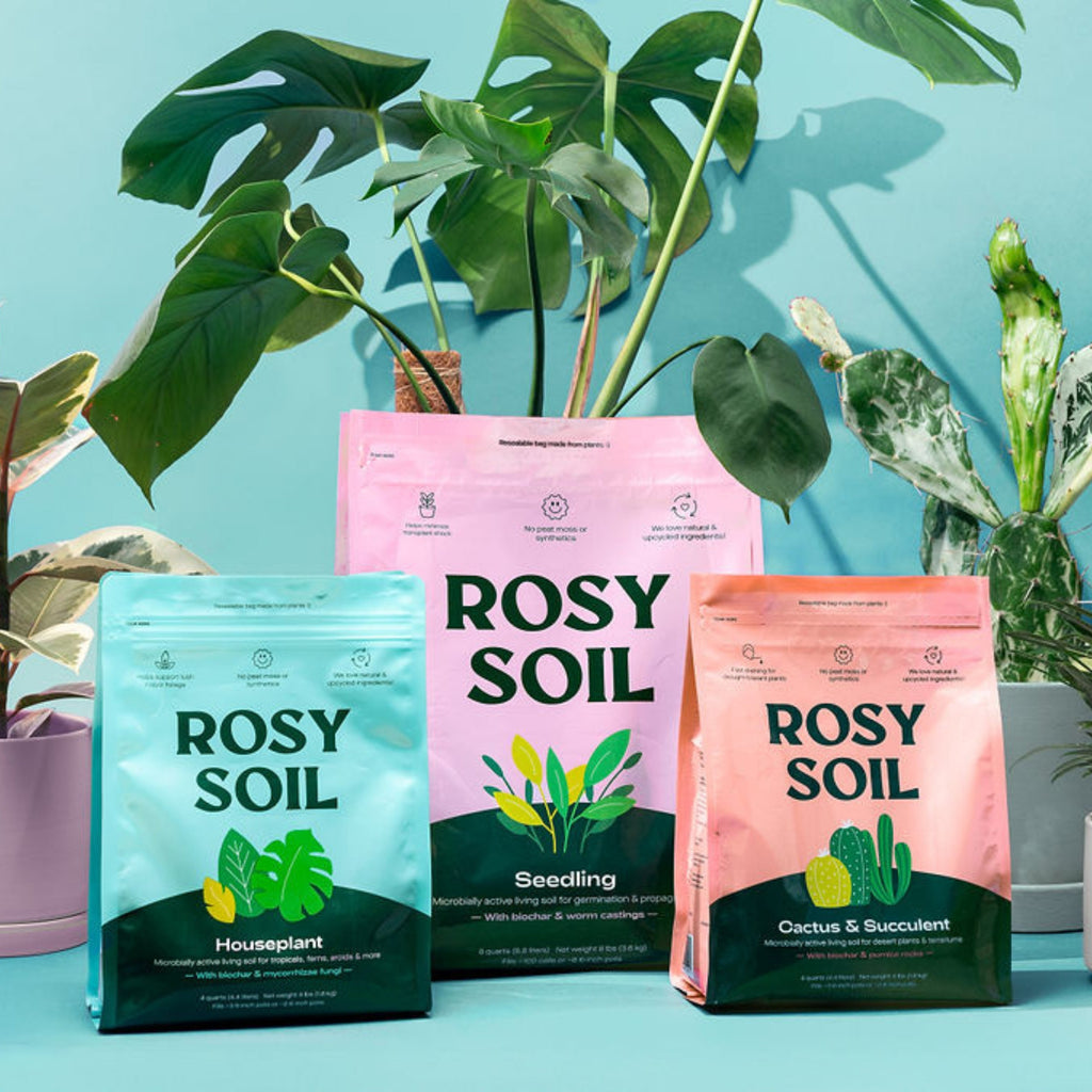 Home Essentials Houseplant Potting Soil for daily home and personal routines with cookware food storage and kitchen tools