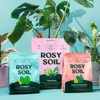 Home Essentials Houseplant Potting Soil for daily home and personal routines with cookware food storage and kitchen tools