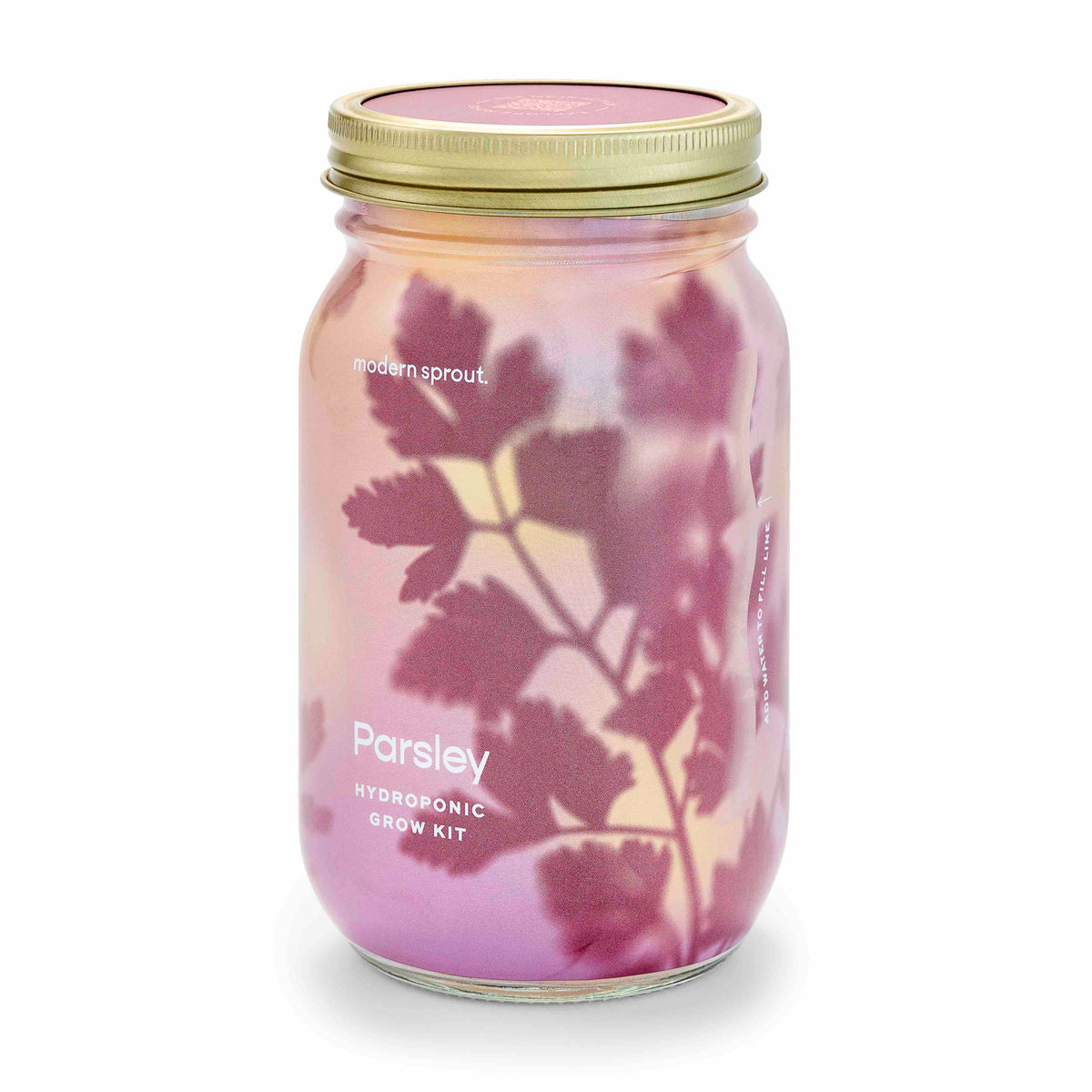 Routine Ready Garden Jar for daily home and personal routines with garden plant and outdoor supplies