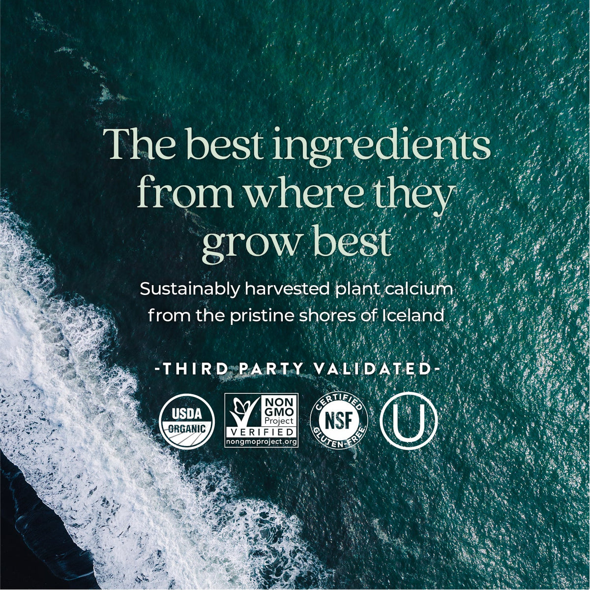 Home Essentials Bone Strength Take Care, Organic Plant Calcium for Strong Healthy Bones for daily home and personal routines with garden plant and outdoor supplies