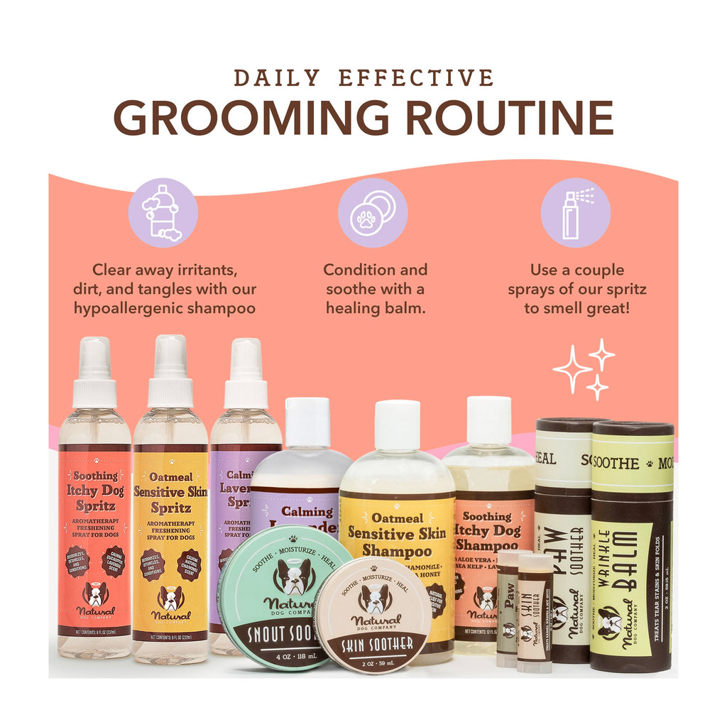 Daily Care Itchy Dog Shampoo for daily home and personal routines with hair care
