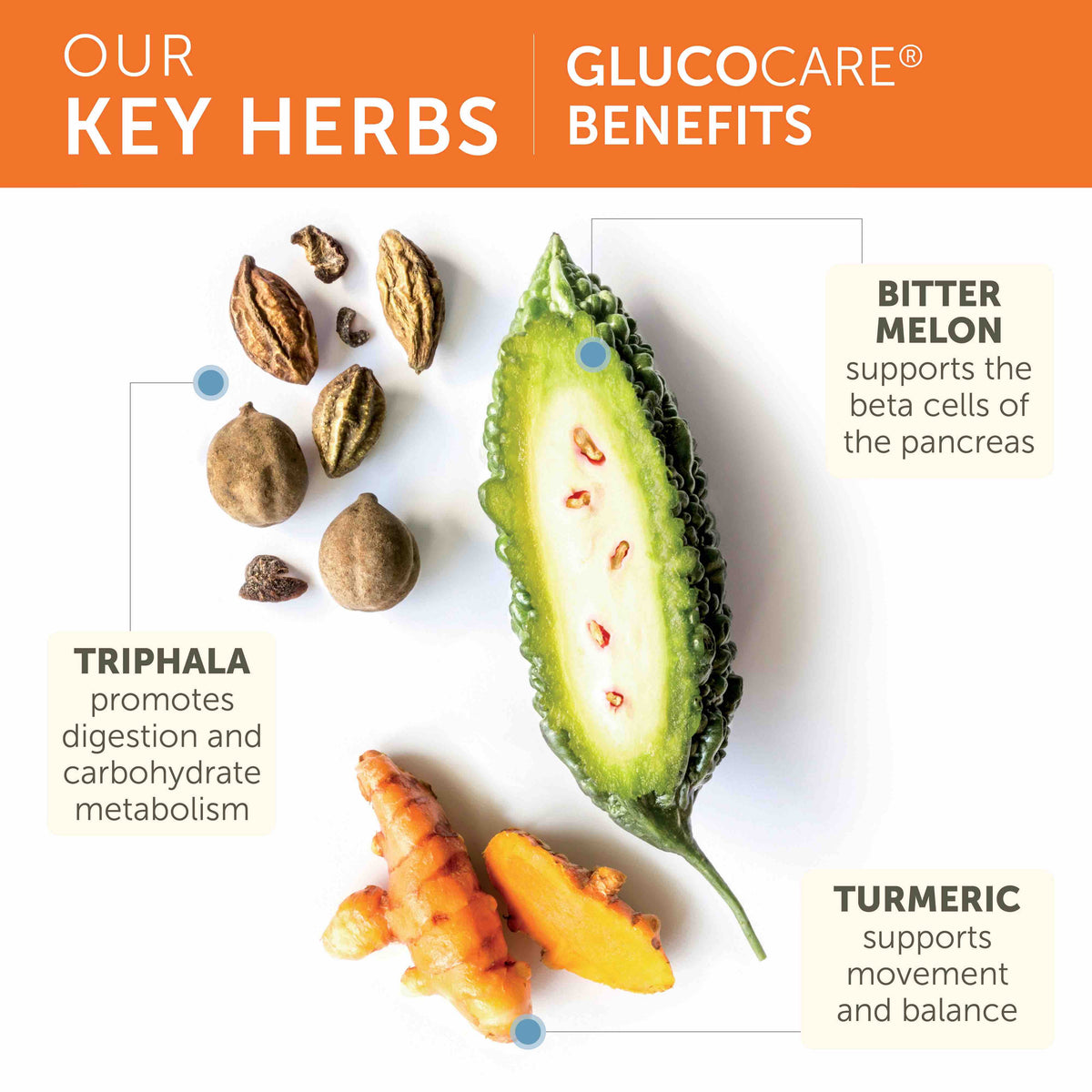 Daily Care Glucocare for daily home and personal routines with general everyday essentials