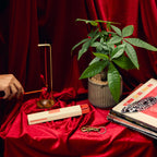 Daily Care HI-FI Incense Sticks for daily home and personal routines with general everyday essentials