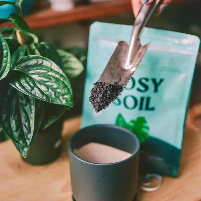 Home Essentials Houseplant Potting Soil for daily home and personal routines with cookware food storage and kitchen tools