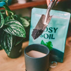 Home Essentials Houseplant Potting Soil for daily home and personal routines with cookware food storage and kitchen tools