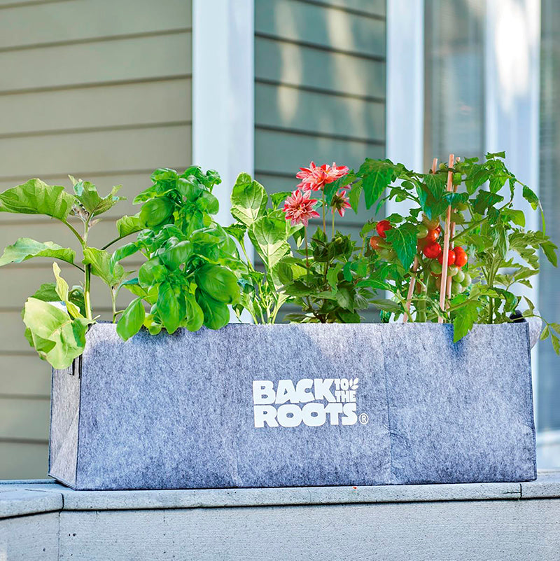 Practical Living Fabric Raised Garden Bed for daily home and personal routines with garden plant and outdoor supplies