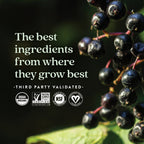 Daily Care Elderberry Gummies, Organic Whole-Food Gummies for Immune Support for daily home and personal routines with pantry foods and beverages
