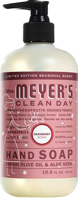 Routine Ready Hand Soap for daily home and personal routines with bath body and hygiene