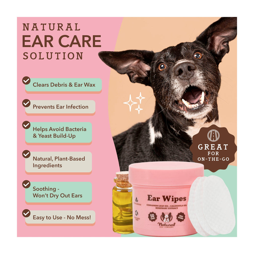 Everyday Home Ear Wipes for daily home and personal routines with cleaning laundry and paper products