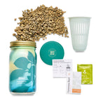 Routine Ready Garden Jar for daily home and personal routines with garden plant and outdoor supplies