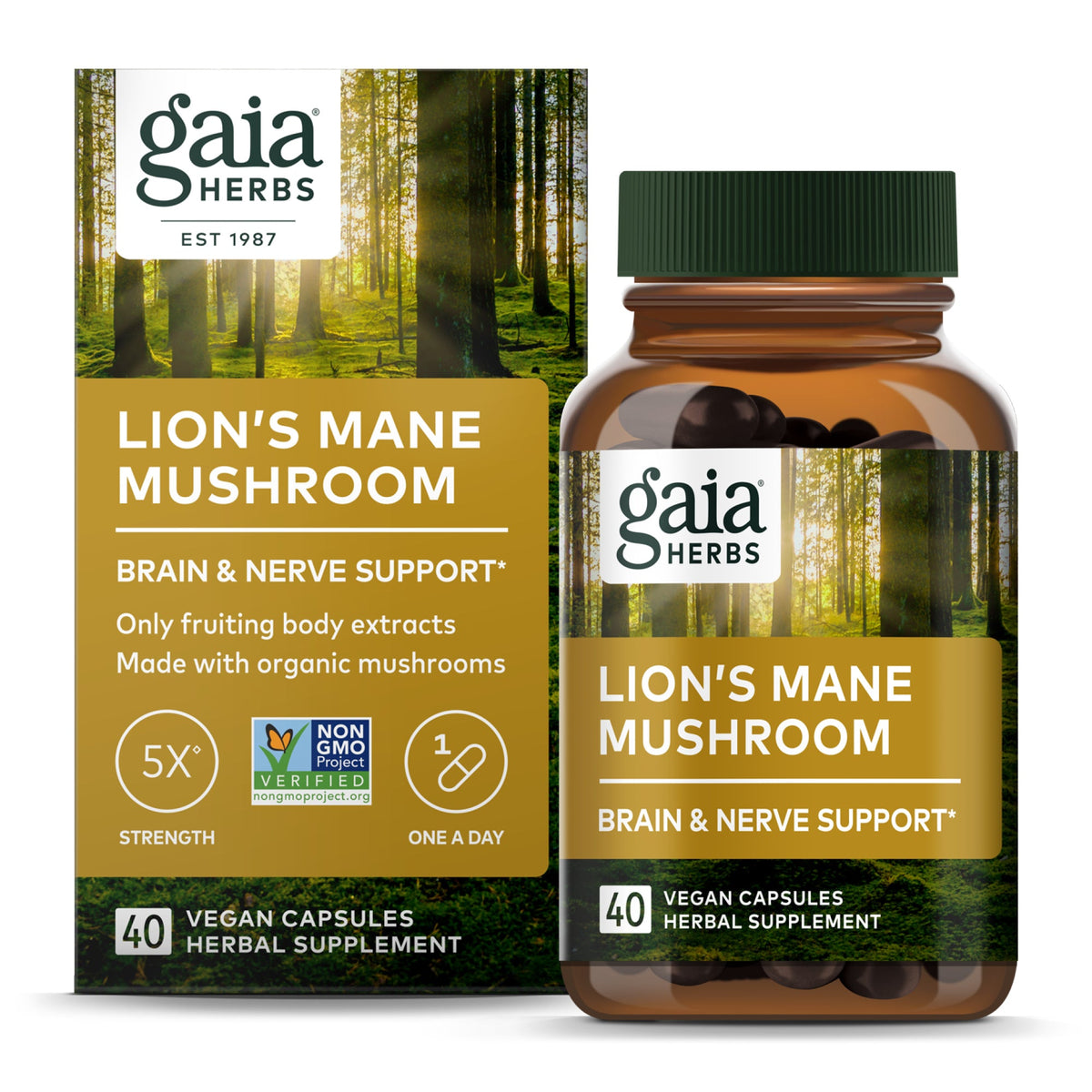Lion's Mane Mushroom