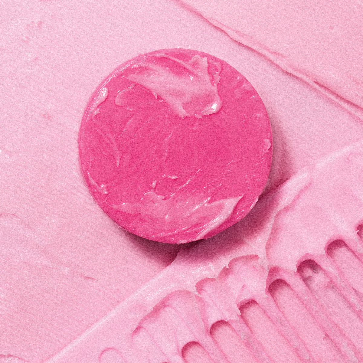 Daily Care ALINE Conditioner Bar for daily home and personal routines with hair care