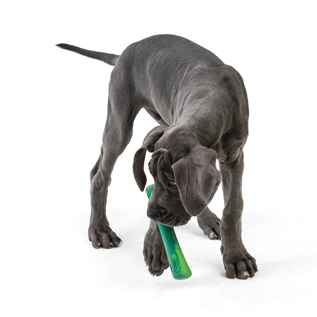 Daily Care Fetch and Chew Drifty Dog Toy made from Ocean-Bound Recycled Plastic - Small for daily home and personal routines with pet care treats and accessories