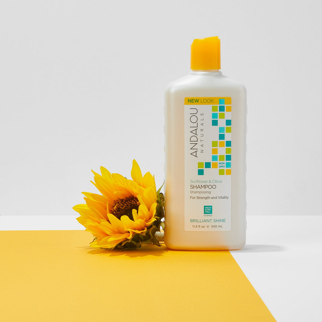 Home Essentials Brilliant Shine Sunflower and Citrus Shampoo for daily home and personal routines with hair care