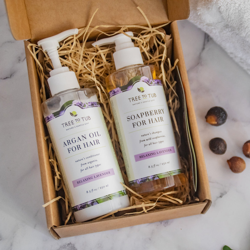 Everyday Home Hydrating Argan Oil Conditioner for Dry Hair and Scalp for daily home and personal routines with hair care