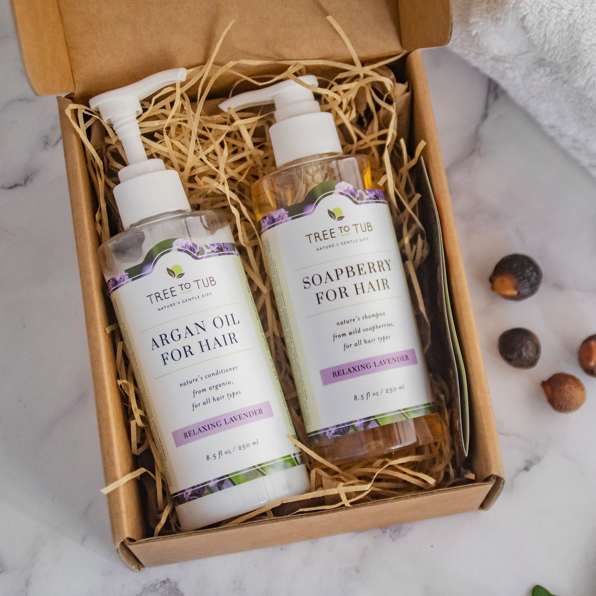 Everyday Home Hydrating Argan Oil Conditioner for Dry Hair and Scalp for daily home and personal routines with hair care