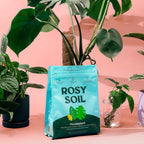 Home Essentials Houseplant Potting Soil for daily home and personal routines with cookware food storage and kitchen tools