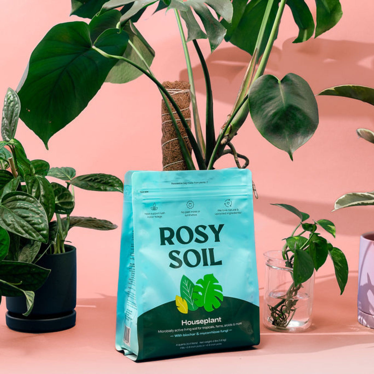 Home Essentials Houseplant Potting Soil for daily home and personal routines with cookware food storage and kitchen tools