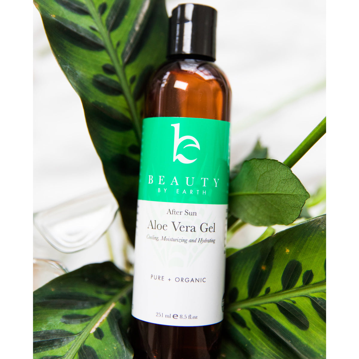 Everyday Home Aloe Vera Gel for daily home and personal routines with general everyday essentials