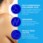 Home Essentials Deep Hydration Fresh Rain Body Wash for daily home and personal routines with bath body and hygiene