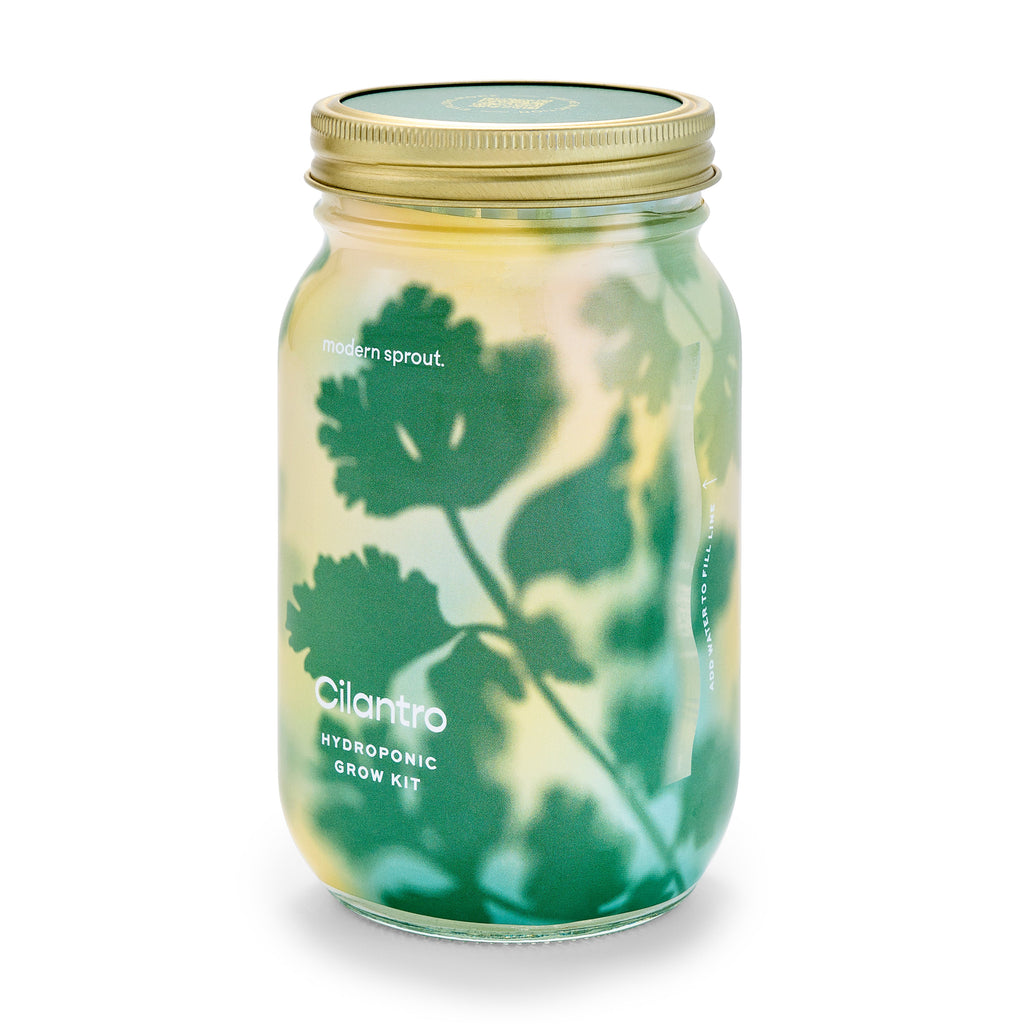 Routine Ready Garden Jar for daily home and personal routines with garden plant and outdoor supplies