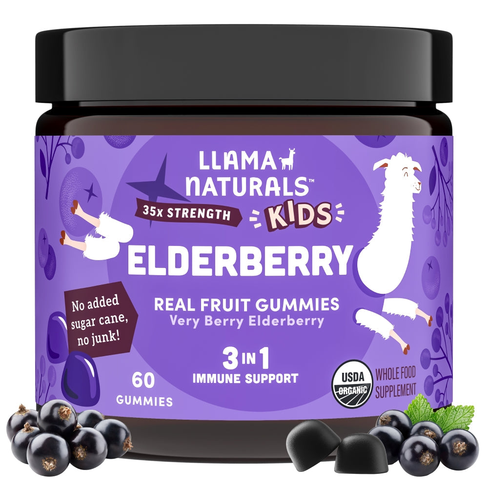 Kids Real Fruit Elderberry Gummies