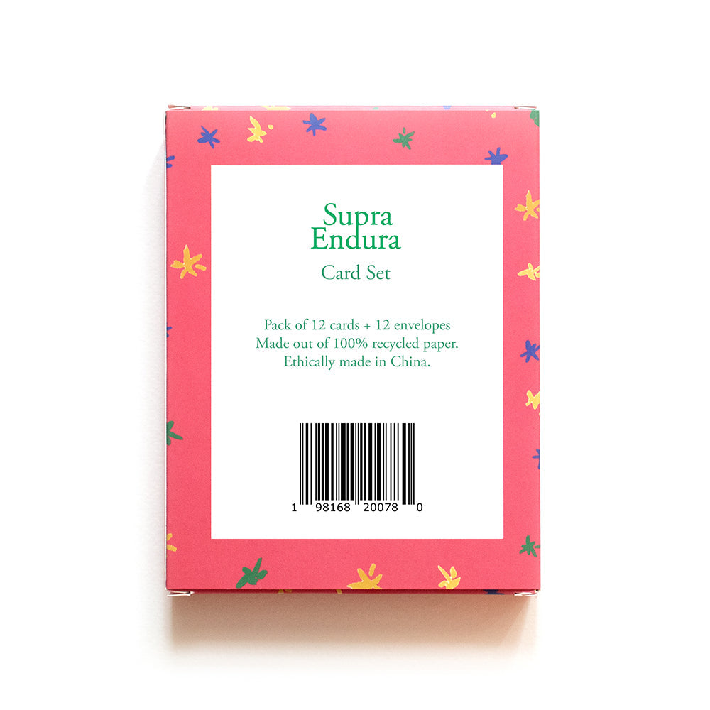Everyday Home Holiday Cards - Cat for daily home and personal routines with pet care treats and accessories