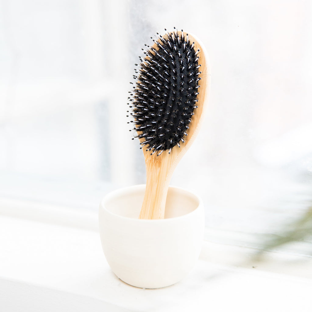 Daily Care Boar Bristle Hair Brush for daily home and personal routines with hair care