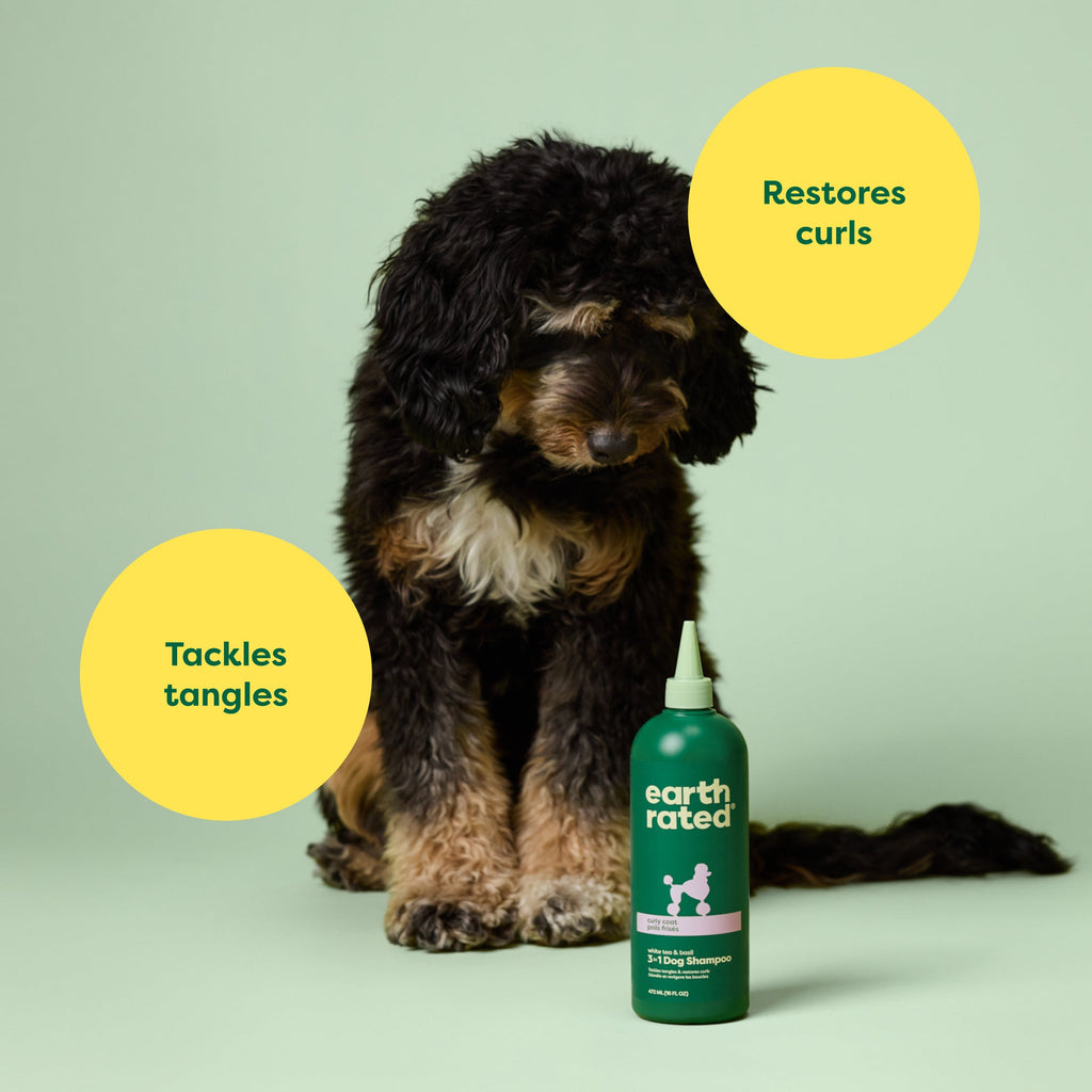 Routine Ready 3-in-1 Curly Coat Dog Shampoo for daily home and personal routines with hair care