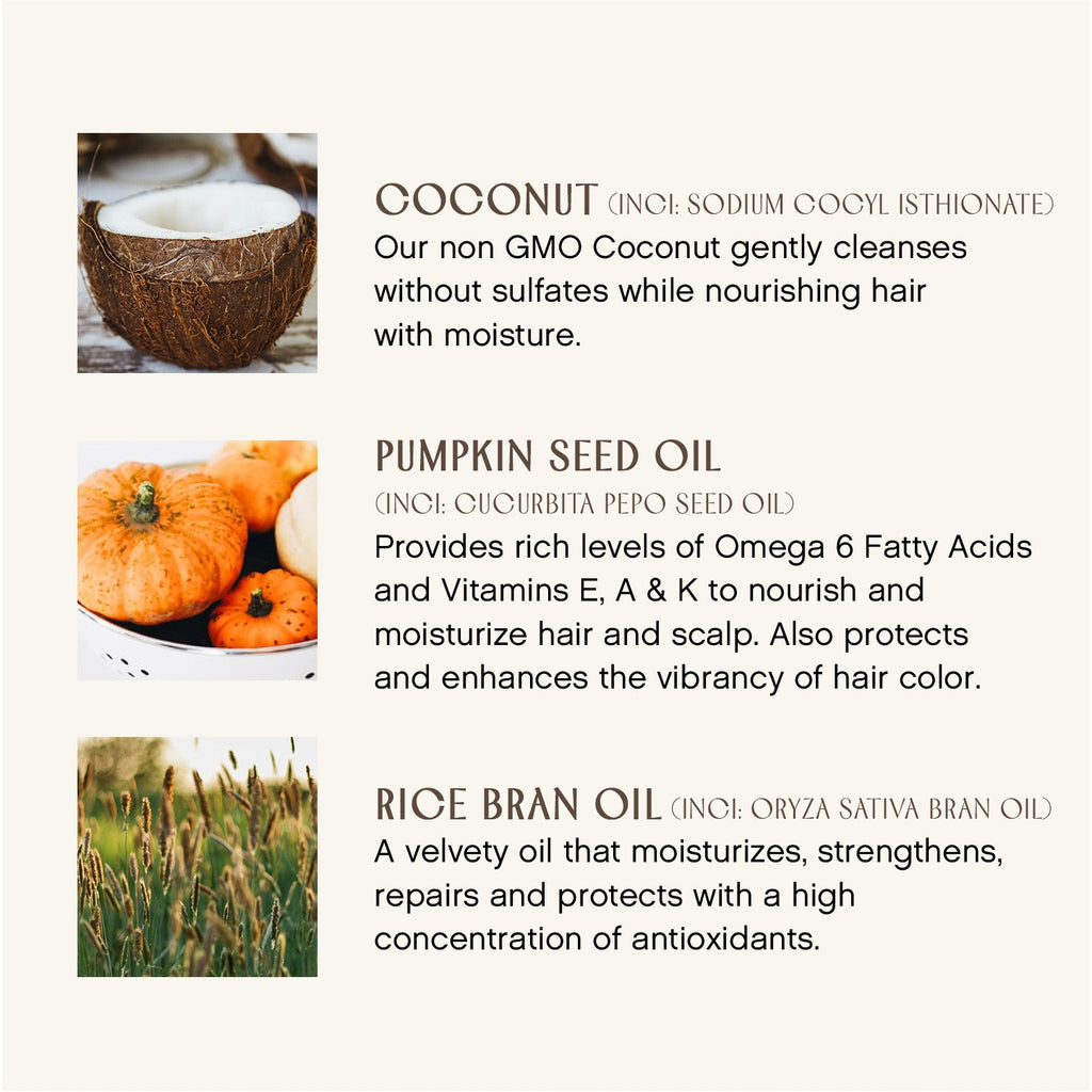 Daily Care Bright Balance Conditioner for daily home and personal routines with hair care