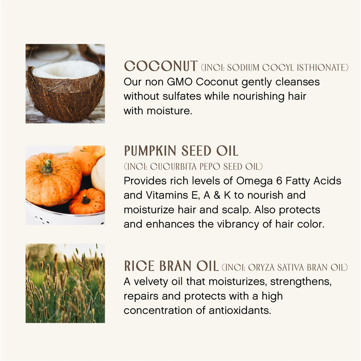 Daily Care Bright Balance Conditioner for daily home and personal routines with hair care